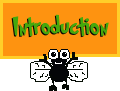 introduction